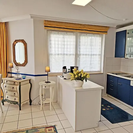 Anemone Willa Sassnitz